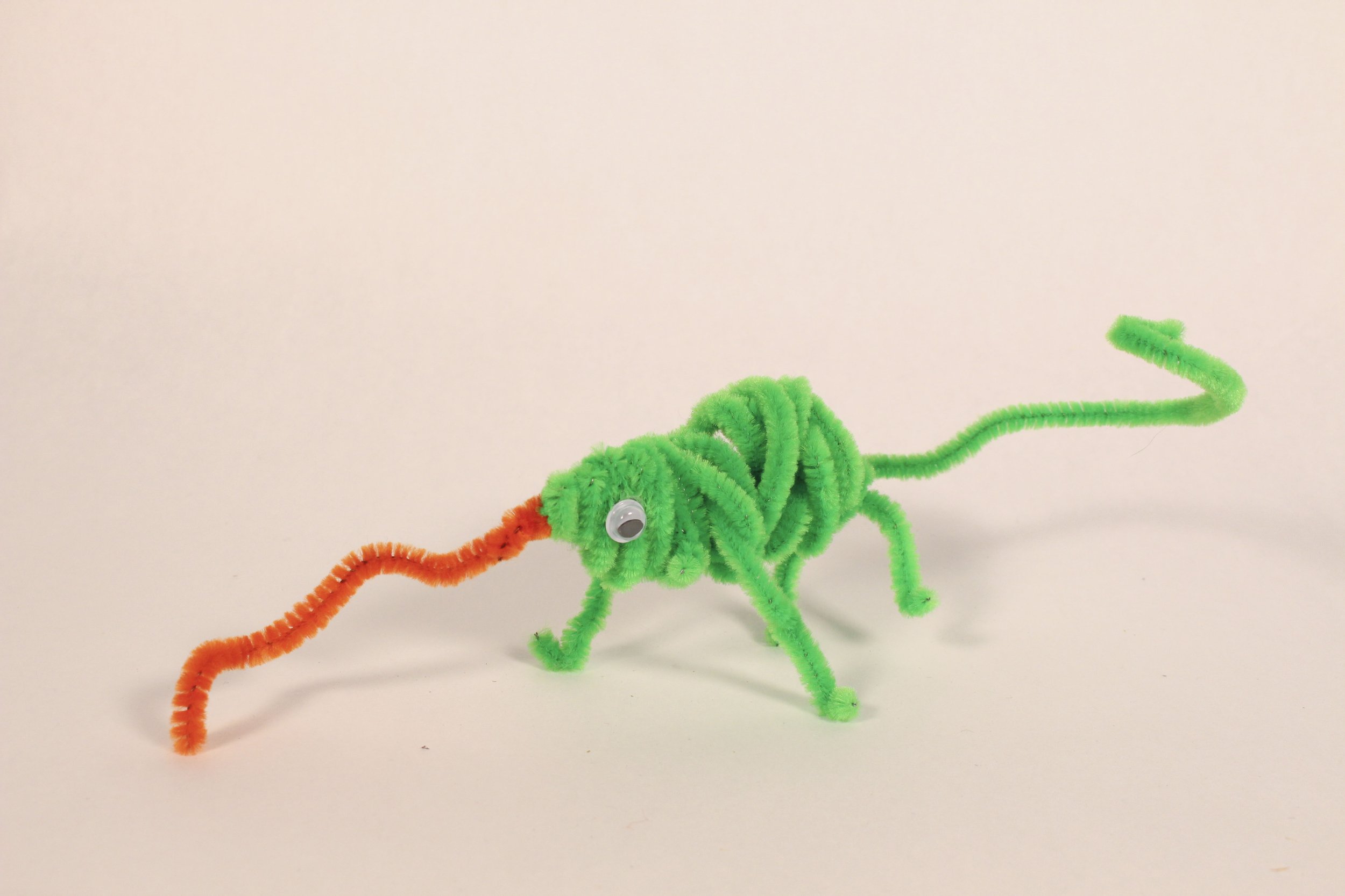 Lizard.jpg