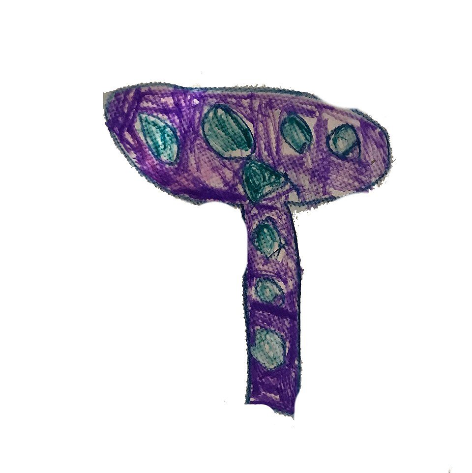 Mushroom 1.jpg