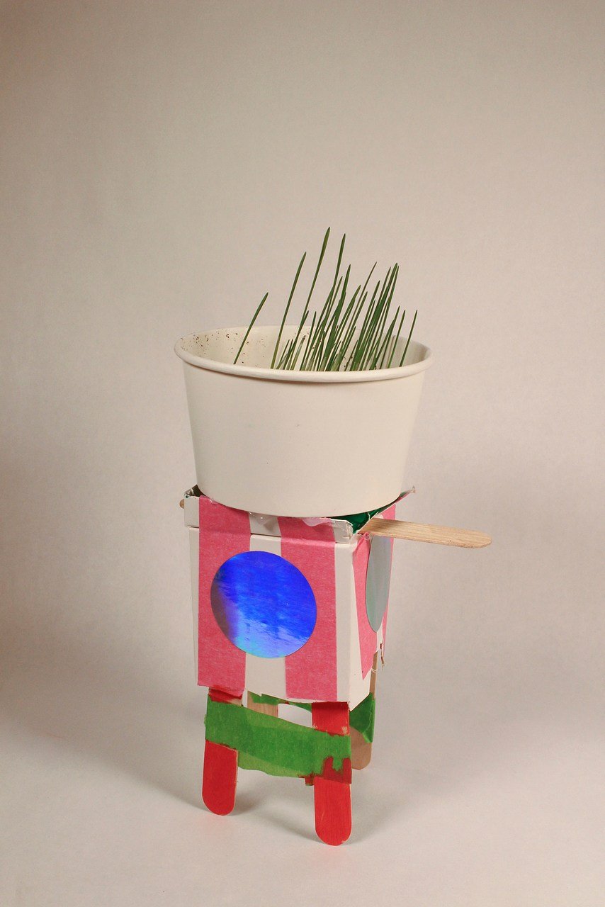 Plant.jpg